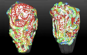 Blood flow analysis in a left ventricle