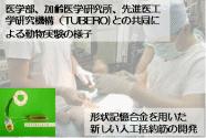 機能性材料の医療応用イメージ