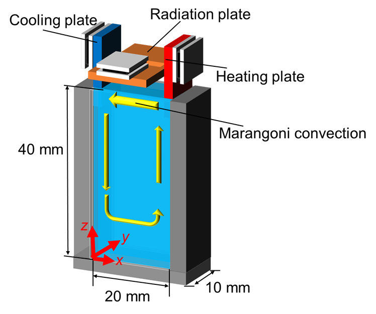 マランゴニ対流可視化セル