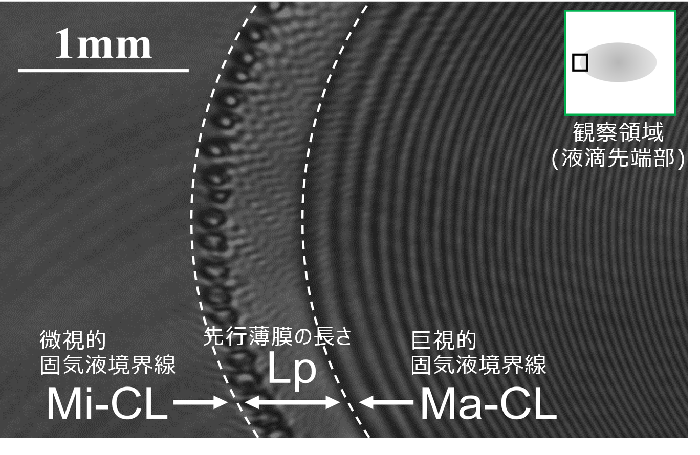 先行薄膜の可視化