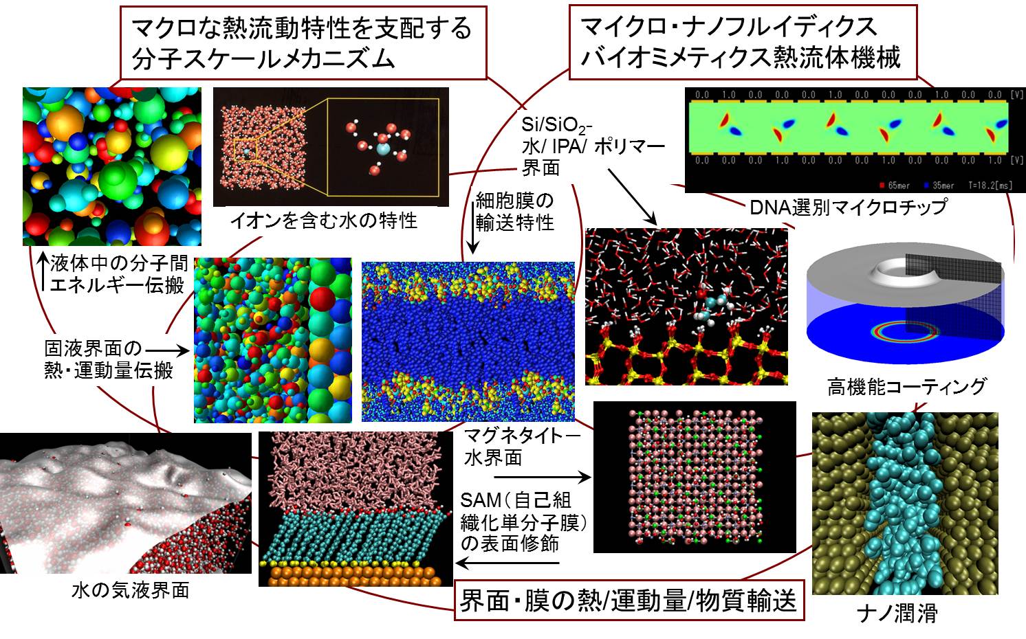 ナノ流動研究部門 分子熱流動研究分野の研究テーマ概要