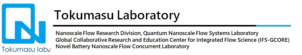 Tokumasu Lab, IFS, Tohoku University image