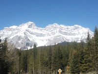 2015 image1
