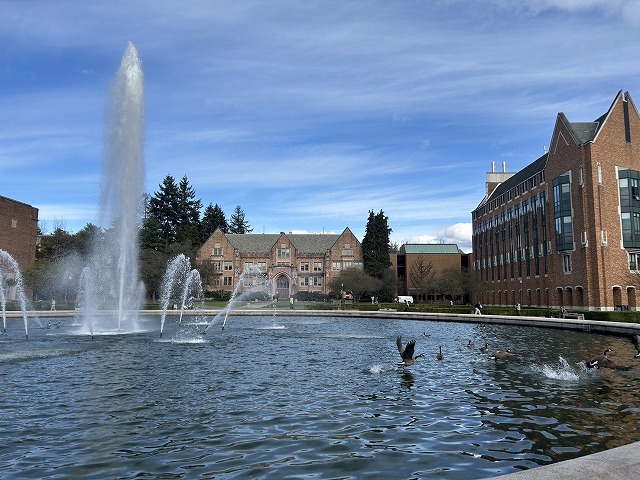 202503 UW