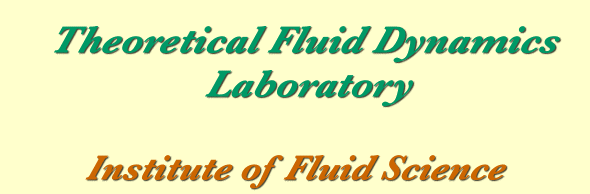 Theoretical Fluid Dynamics Laboratory