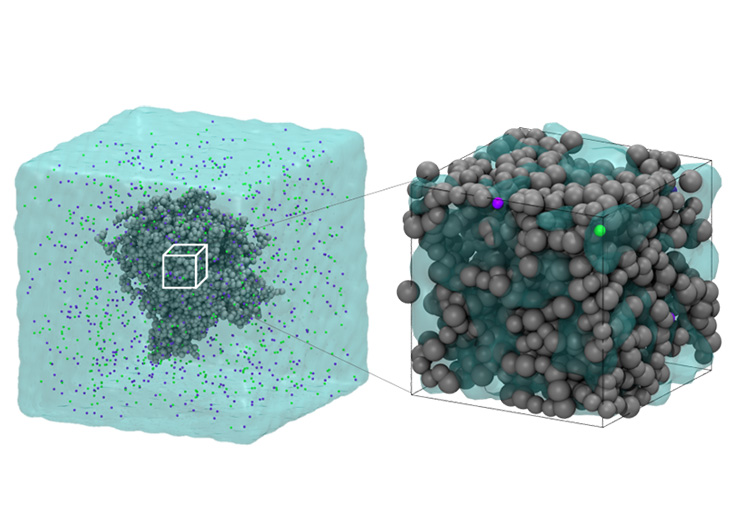 Theoretical Design and Control of Liquid-Liquid Phase Separation Using Artificial Proteins