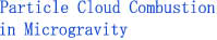 Particle Cloud Combustion
in Microgravity