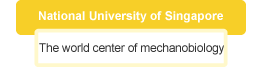 National University of Singapore