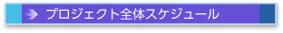 プロジェクト全体スケジュール