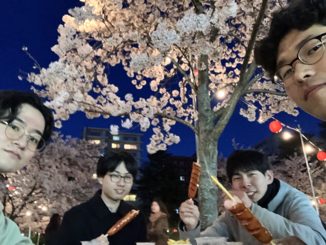 大町西公園花見写真