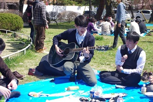 Hanami Party