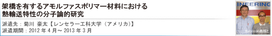 架橋を有するアモルファスポリマー材料における熱輸送特性の分子論的研究[菊川豪太 【レンセラー工科大学（アメリカ）】]