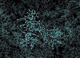 図1 アモルファスポリスチレンのスナップショット（1分子のみハイライト）