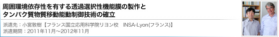周囲環境依存性を有する透過選択性機能膜の製作とタンパク質物質移動能動制御技術の確立[小宮敦樹【フランス国立応用科学院リヨン校　INSA-Lyon(フランス)】]