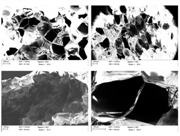 図2 製作した膜のSEMイメージ（Poly lactic acid (PLA)）