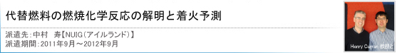 代替燃料の燃焼化学反応の解明と着火予測[中村　寿 【アイルランド国立大学ゴールウェイ校　NUIG（アイルランド）】]