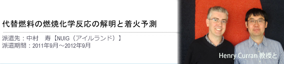 代替燃料の燃焼化学反応の解明と着火予測:中村　寿【アイルランド国立大学ゴールウェイ校　NUIG】