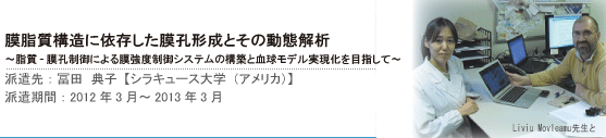 膜脂質構造に依存した膜孔形成とその動態解析　〜脂質-膜孔制御による膜強度制御システムの構築と血球モデル実現化を目指して〜:冨田典子【シラキュース大学】