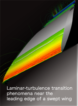Laminar-turbulence transition phenomena near the leading edge of a swept wing